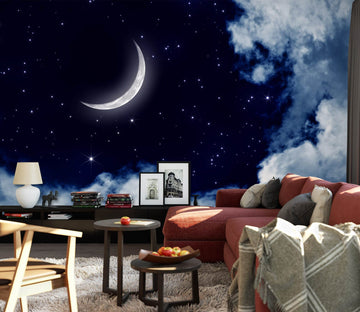 3D Moon Cloud 1115 Wall Murals Wallpaper AJ Wallpaper 2 
