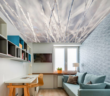 3D Gray Grass 2596 Assaf Frank Ceiling Wallpaper Murals