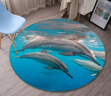 3D Dolphin 38075 Animal Round Non Slip Rug Mat