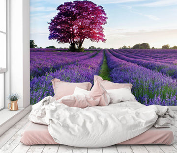 3D Lavender Field 1149 Wall Murals Wallpaper AJ Wallpaper 2 