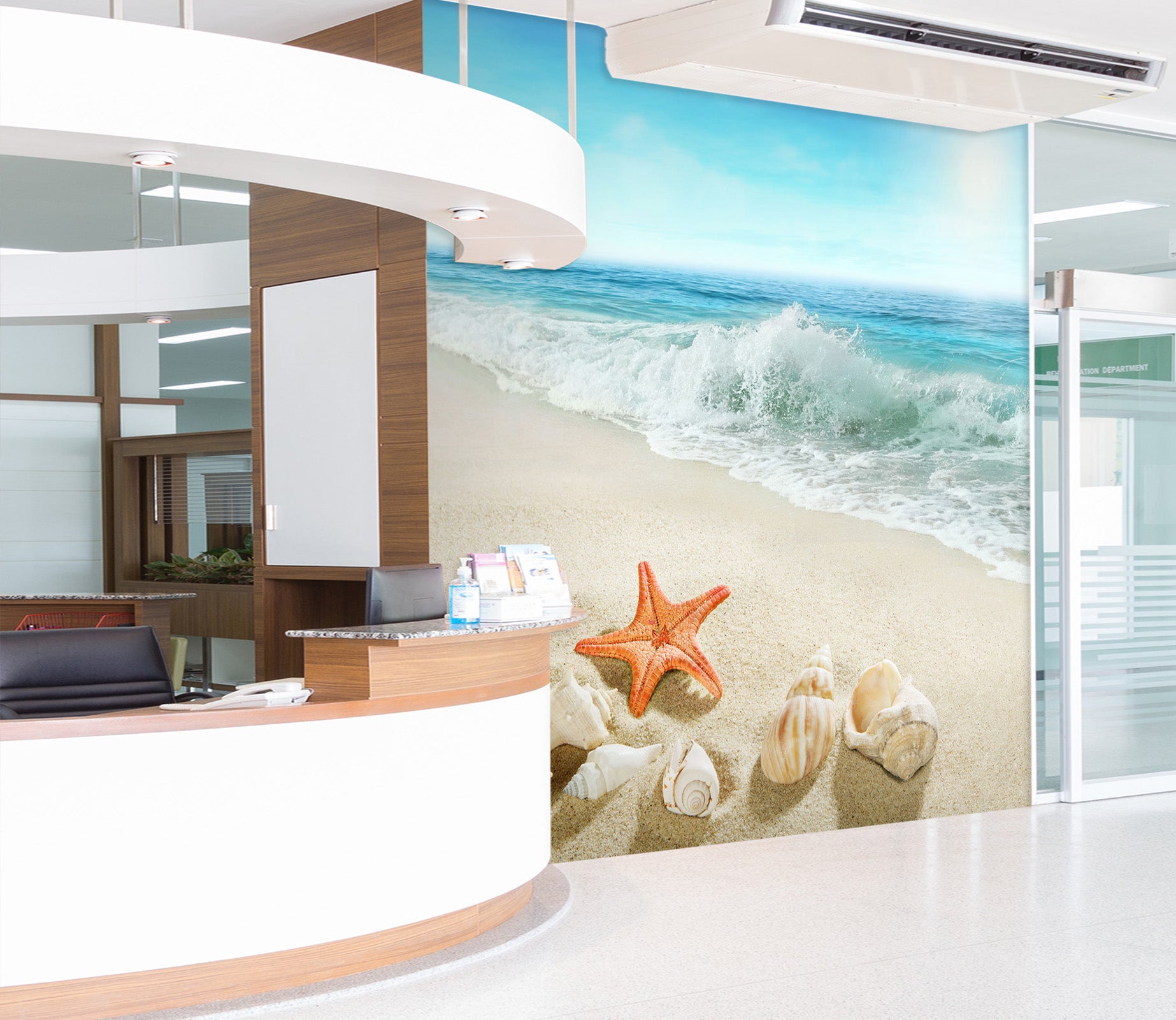 3D Surf Starfish 300 Wall Murals