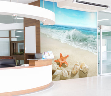 3D Surf Starfish 300 Wall Murals