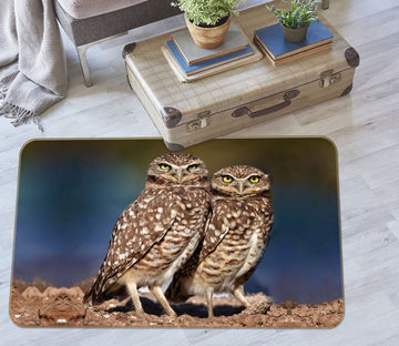 3D Burrowing Owl Buddies 1104 Kathy Barefield Rug Non Slip Rug Mat Mat AJ Creativity Home 