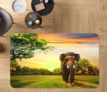 3D Lawn Eelephant 132 Animal Non Slip Rug Mat