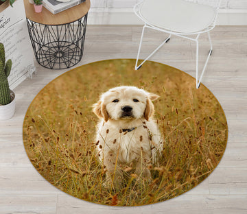 3D Puppy 29042 Round Non Slip Rug Mat