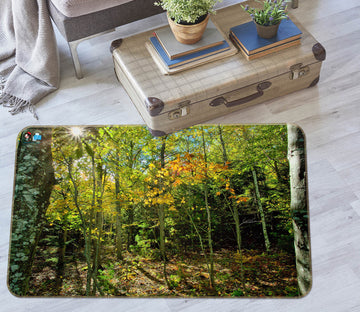3D Fall In The Forest 62041 Kathy Barefield Rug Non Slip Rug Mat
