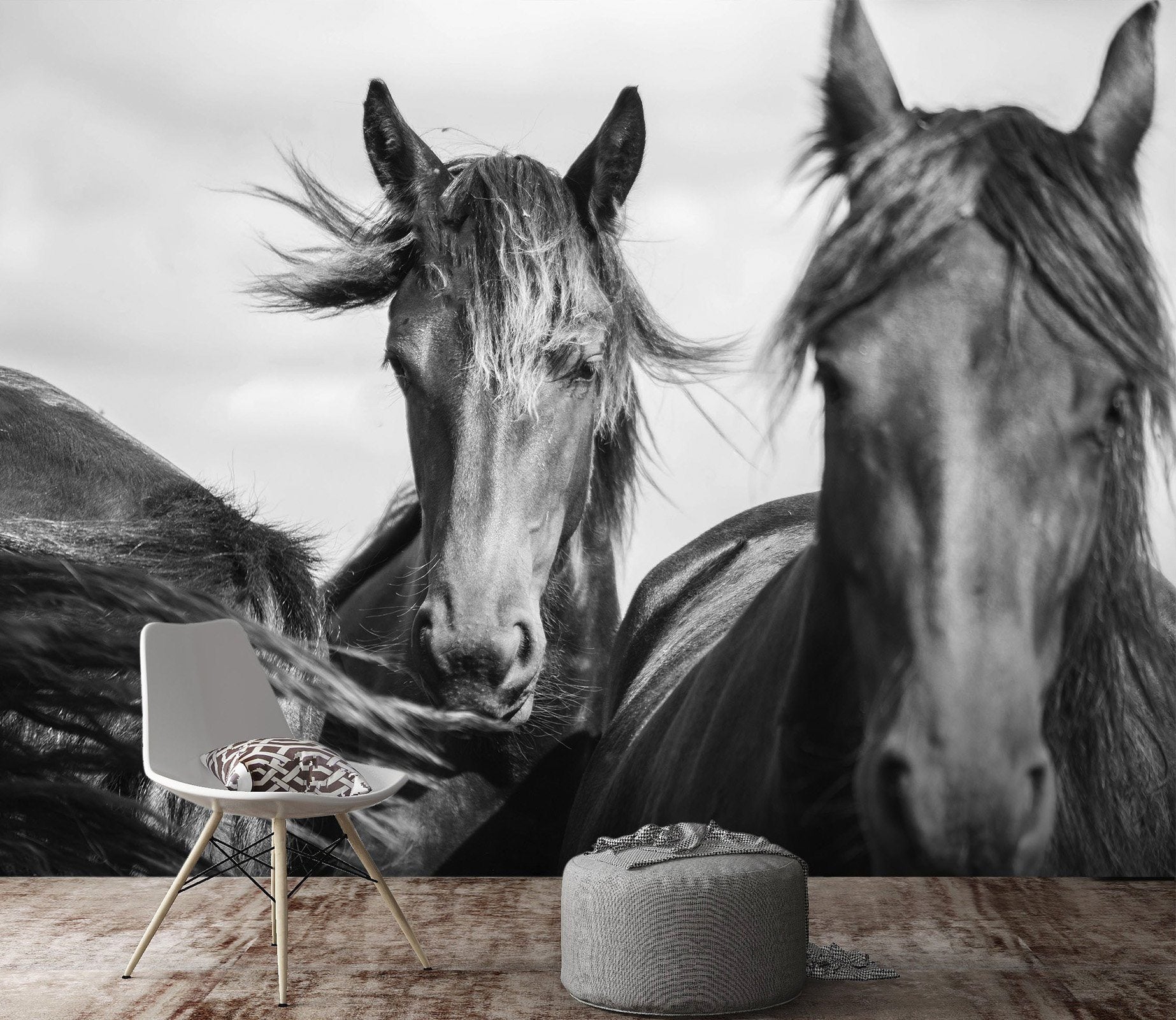 3D Black And White Grey Horse 671 Wallpaper AJ Wallpaper 