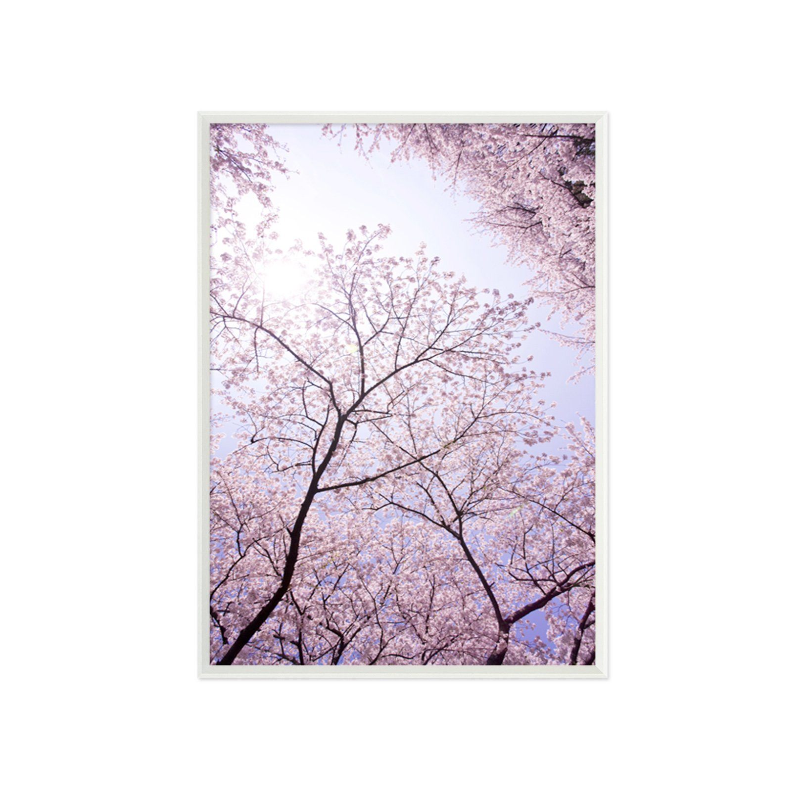 3D Tree Blossom 035 Fake Framed Print Painting Wallpaper AJ Creativity Home 