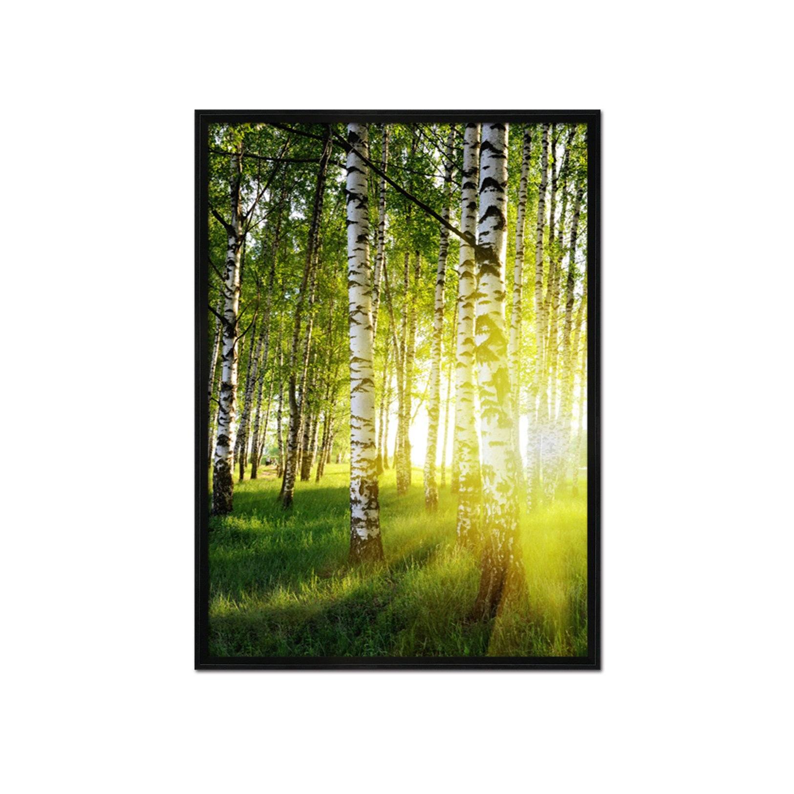 3D Sunshine Rattan 032 Fake Framed Print Painting Wallpaper AJ Creativity Home 