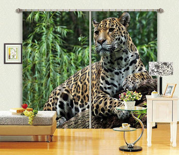 3D Resting Leopard Curtains Drapes Wallpaper AJ Wallpaper 
