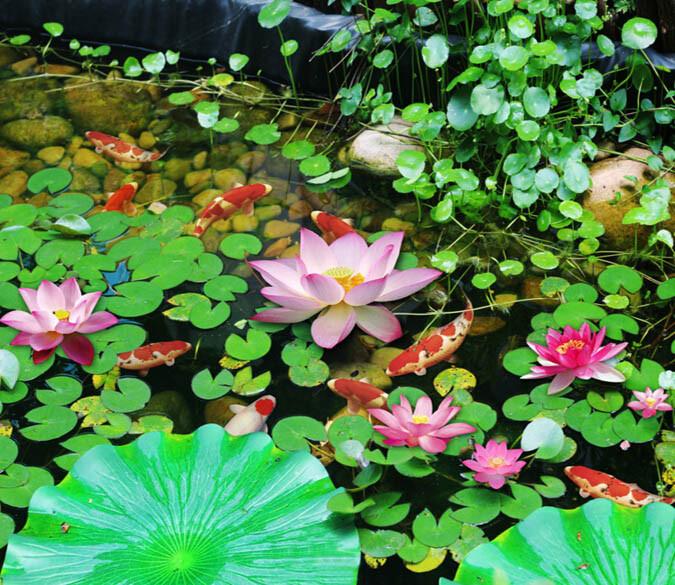 3D Beautiful Lotus Floor Mural Wallpaper AJ Wallpaper 2 