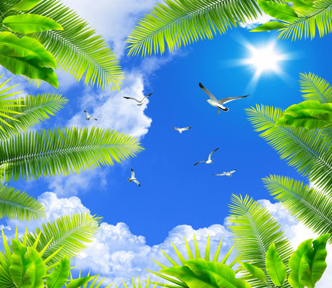 Green Branches Wallpaper AJ Wallpaper 2 