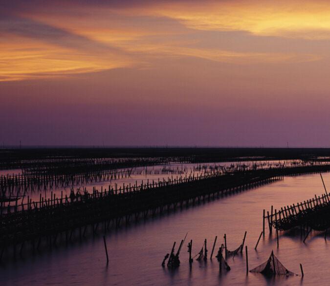 Aquafarm Sunset Wallpaper AJ Wallpaper 