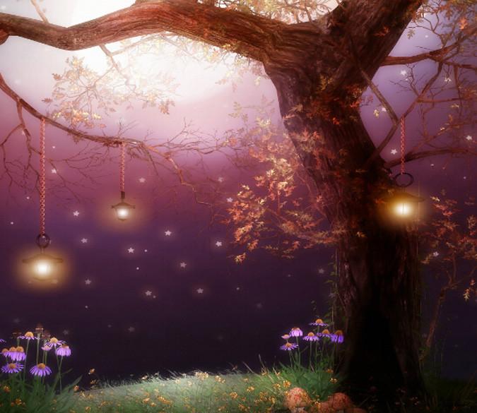 Night Scenery Wallpaper AJ Wallpaper 