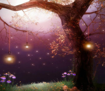 Night Scenery Wallpaper AJ Wallpaper 