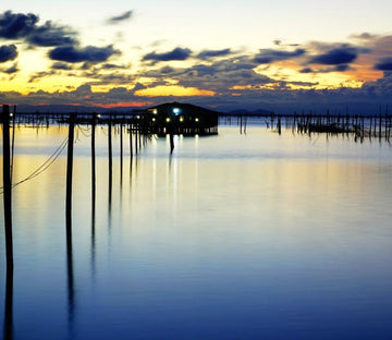 Evening Seascape Wallpaper AJ Wallpaper 