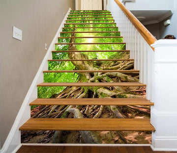 3D Green Tree Roots 771 Stair Risers Wallpaper AJ Wallpaper 