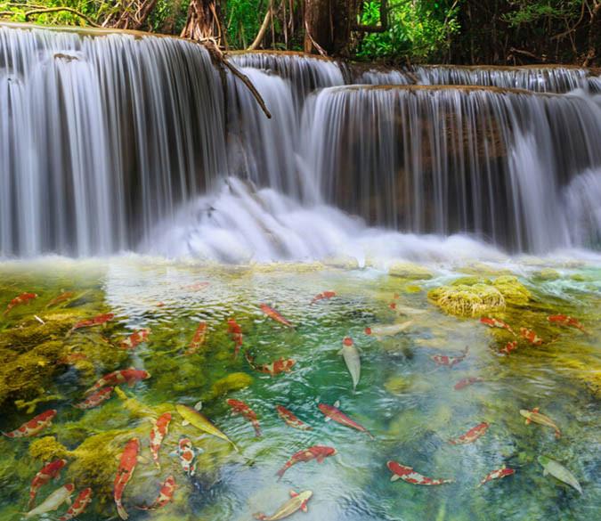 3D Waterfall And Pond Floor Mural Wallpaper AJ Wallpaper 2 