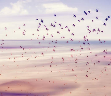 Flying Birds 3 Wallpaper AJ Wallpaper 