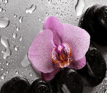3D Fresh Flower Floor Mural Wallpaper AJ Wallpaper 2 