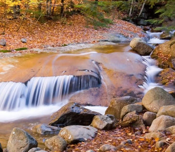 Stream 1 Wallpaper AJ Wallpaper 