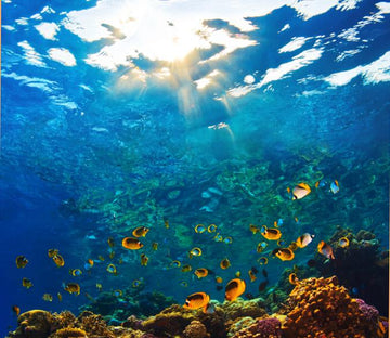 Undersea World 4 Wallpaper AJ Wallpaper 