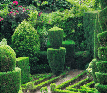 Garden Landscape 1 Wallpaper AJ Wallpaper 