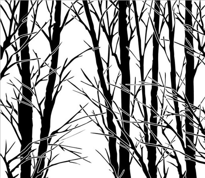 Bare Trees 2 Wallpaper AJ Wallpaper 