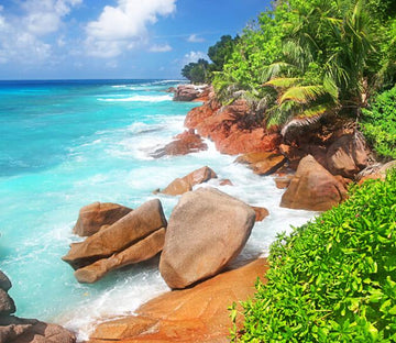 Coast Stones 3 Wallpaper AJ Wallpaper 