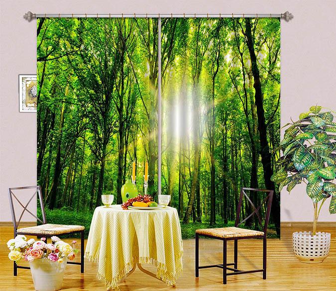 3D Forest Sunshine 2467 Curtains Drapes Wallpaper AJ Wallpaper 