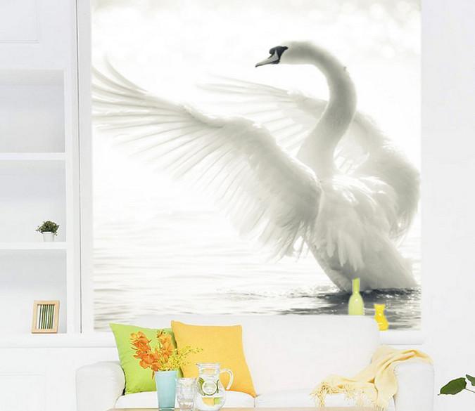 White Swan Wallpaper AJ Wallpaper 