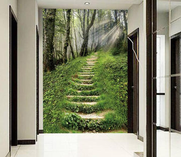 Forest Stone Steps Wallpaper AJ Wallpaper 