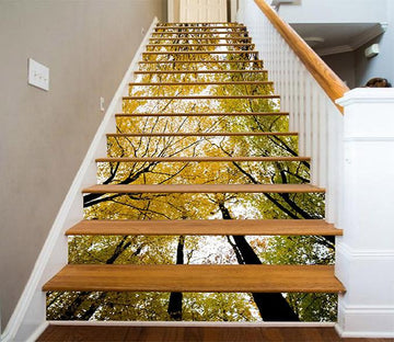 3D Forest Treetops 1021 Stair Risers Wallpaper AJ Wallpaper 