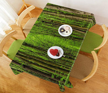 3D Forest Path 551 Tablecloths Wallpaper AJ Wallpaper 