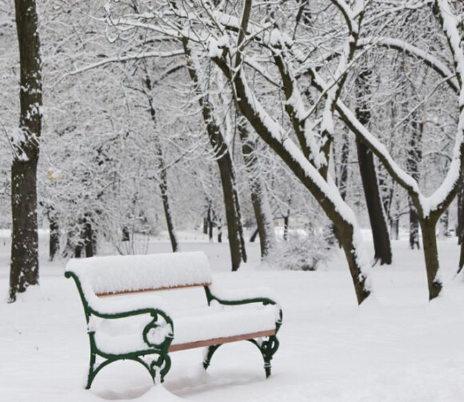 Snowed Park 1 Wallpaper AJ Wallpaper 