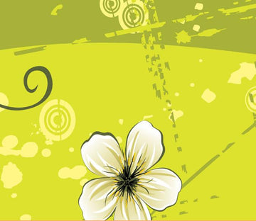 White Flower 3 Wallpaper AJ Wallpaper 