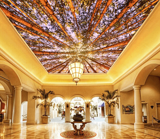 Sky Forest 109 Wallpaper AJ Wallpaper 