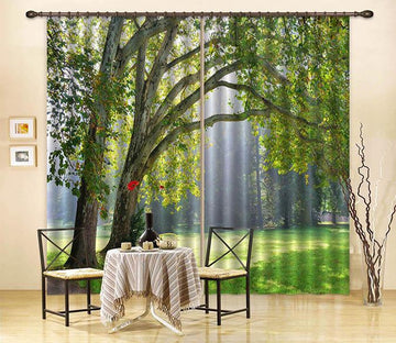 3D Green Grassland Trees 2237 Curtains Drapes Wallpaper AJ Wallpaper 