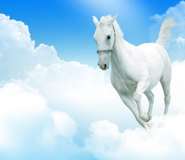 Running White Horse Wallpaper AJ Wallpaper 