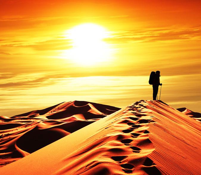 Desert Sunset Wallpaper AJ Wallpaper 