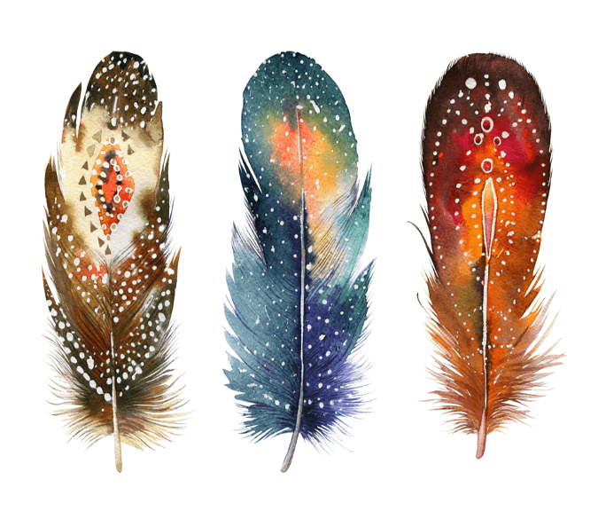 Three Colored Feathers Wallpaper AJ Wallpaper 
