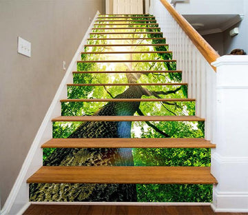 3D Tall Tree Sunshine 1210 Stair Risers Wallpaper AJ Wallpaper 