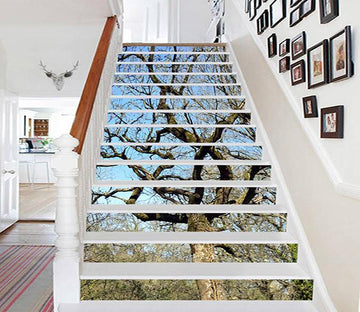 3D Meandering Trees 884 Stair Risers Wallpaper AJ Wallpaper 