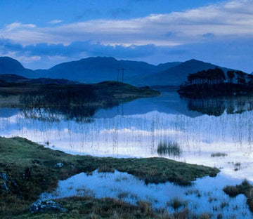 Wild Scenery Wallpaper AJ Wallpaper 