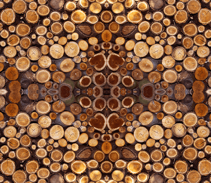 3D Wood Annual Rings Floor Mural Wallpaper AJ Wallpaper 2 