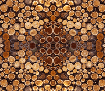 3D Wood Annual Rings Floor Mural Wallpaper AJ Wallpaper 2 