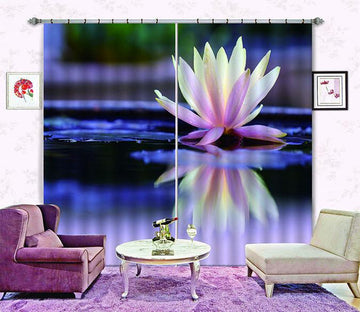 3D Pure Water Lily 670 Curtains Drapes Wallpaper AJ Wallpaper 