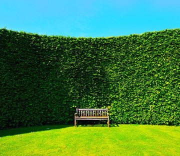 Green Wall Wallpaper AJ Wallpaper 