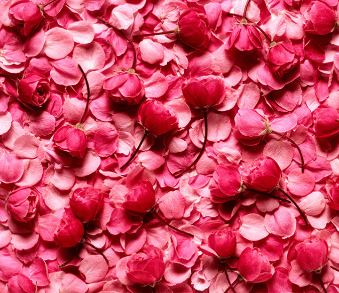 3D Red Petals Floor Mural Wallpaper AJ Wallpaper 2 