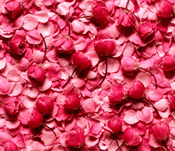 3D Red Petals Floor Mural Wallpaper AJ Wallpaper 2 